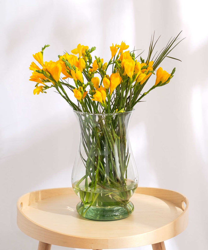 Yellow Guernsey Short Stem Freesia Flowers - Guernsey Flowers by Post