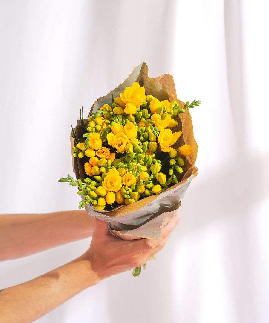 Yellow Guernsey Short Stem Freesia Flowers - Guernsey Flowers by Post