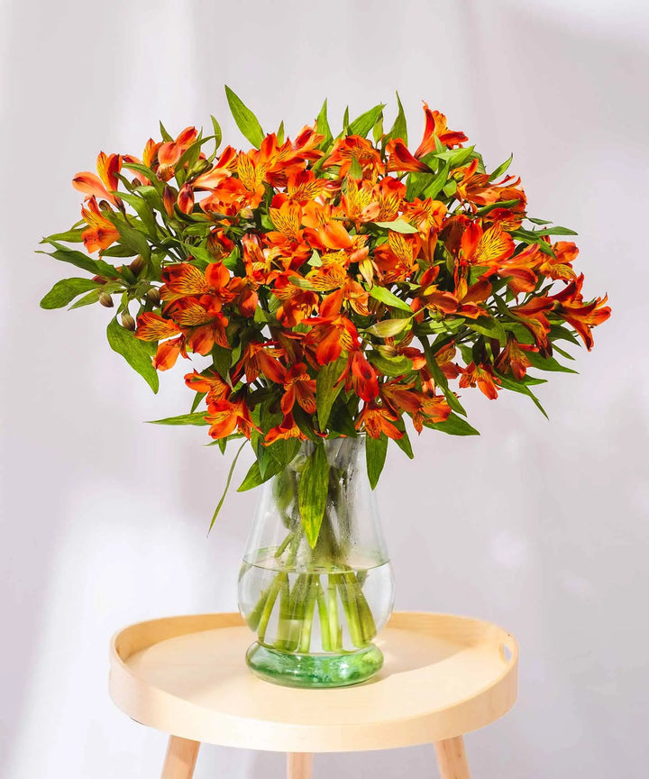 Guernsey Orange Alstroemeria Flowers - Guernsey Flowers by Post