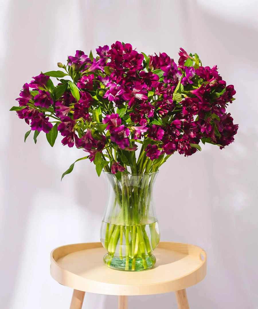 Guernsey Purple Alstroemeria Flowers - Guernsey Flowers by Post