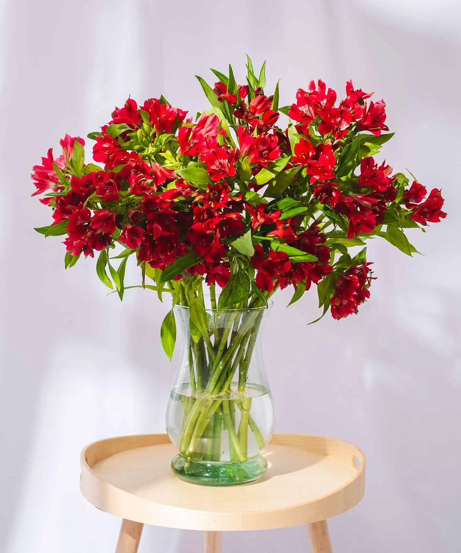 Guernsey Red Alstroemeria Flowers - Guernsey Flowers by Post