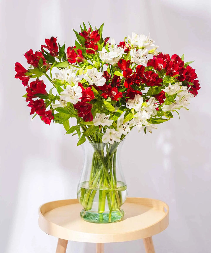 Guernsey Red & White Alstroemeria Flowers - Guernsey Flowers by Post