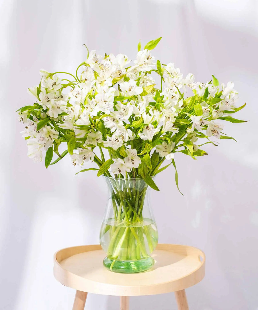Guernsey White Alstroemeria Flowers - Guernsey Flowers by Post