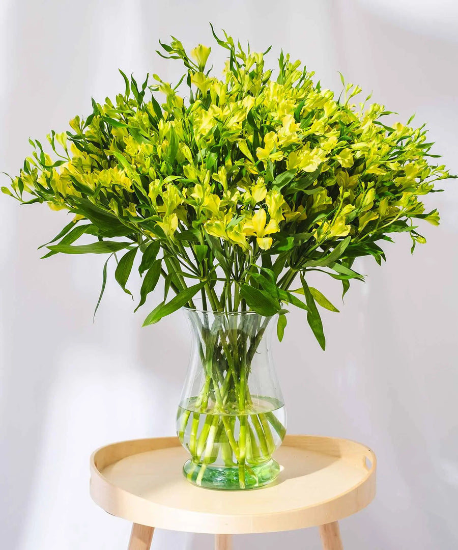 Guernsey Yellow Alstroemeria Flowers - Guernsey Flowers by Post