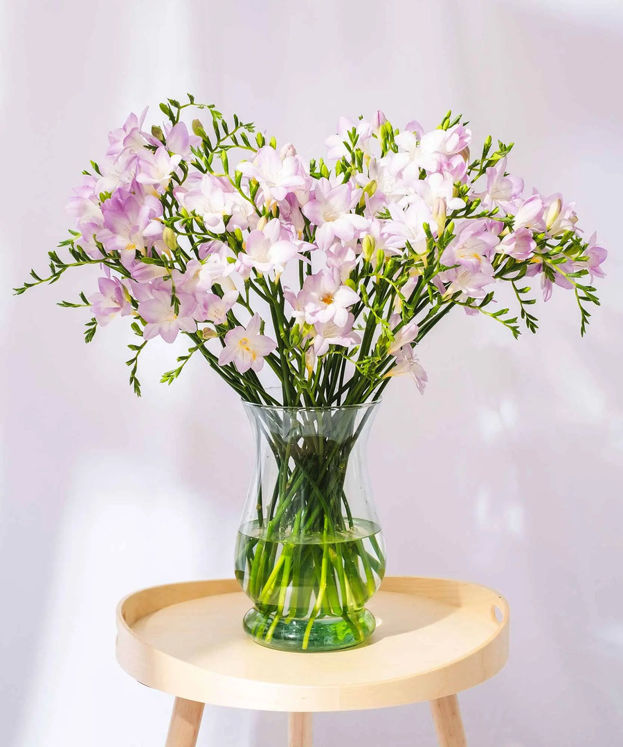Lilac Guernsey Long Stem Freesia Flowers - Guernsey Flowers by Post