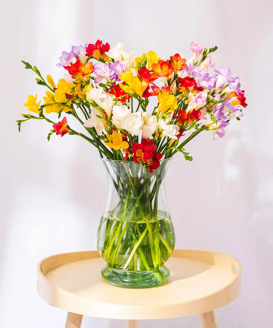 Ongoing Mixed Guernsey Long Stem Freesia Flower Subscription - Guernsey Flowers by Post