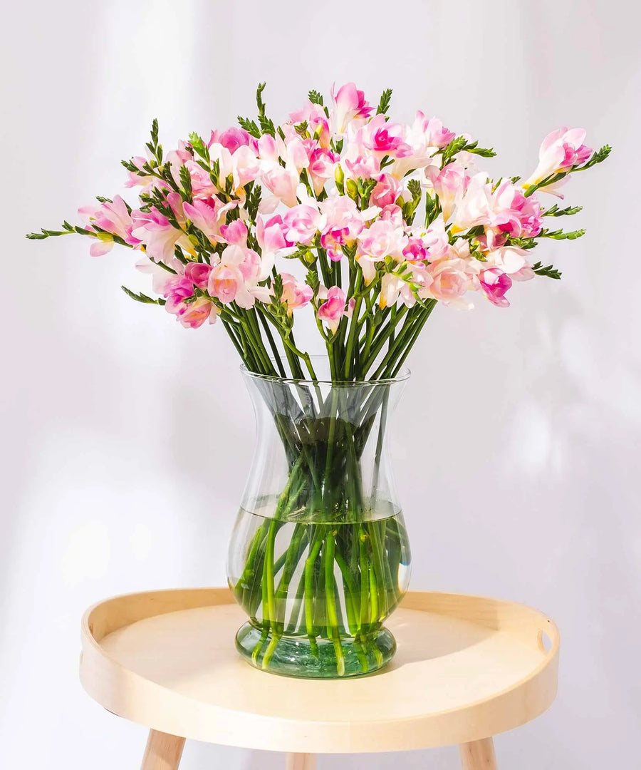Pink Guernsey Long Stem Freesia Flowers - Guernsey Flowers by Post