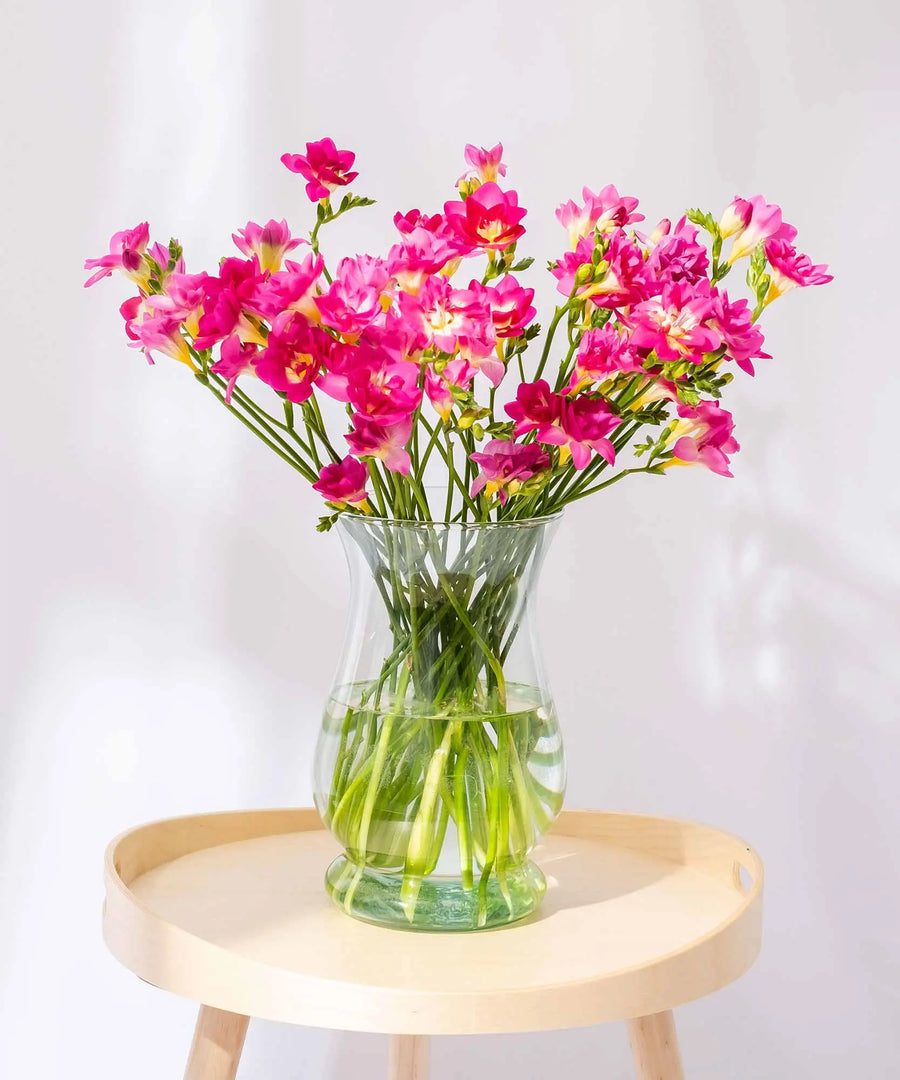 Purple Guernsey Long Stem Freesia Flowers - Guernsey Flowers by Post