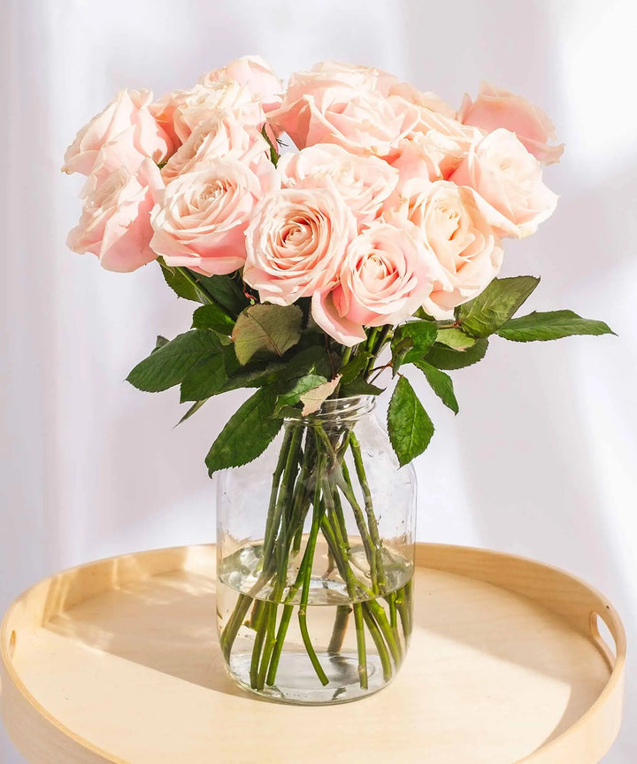 Soft Pink Roses - Guernsey Flowers by Post