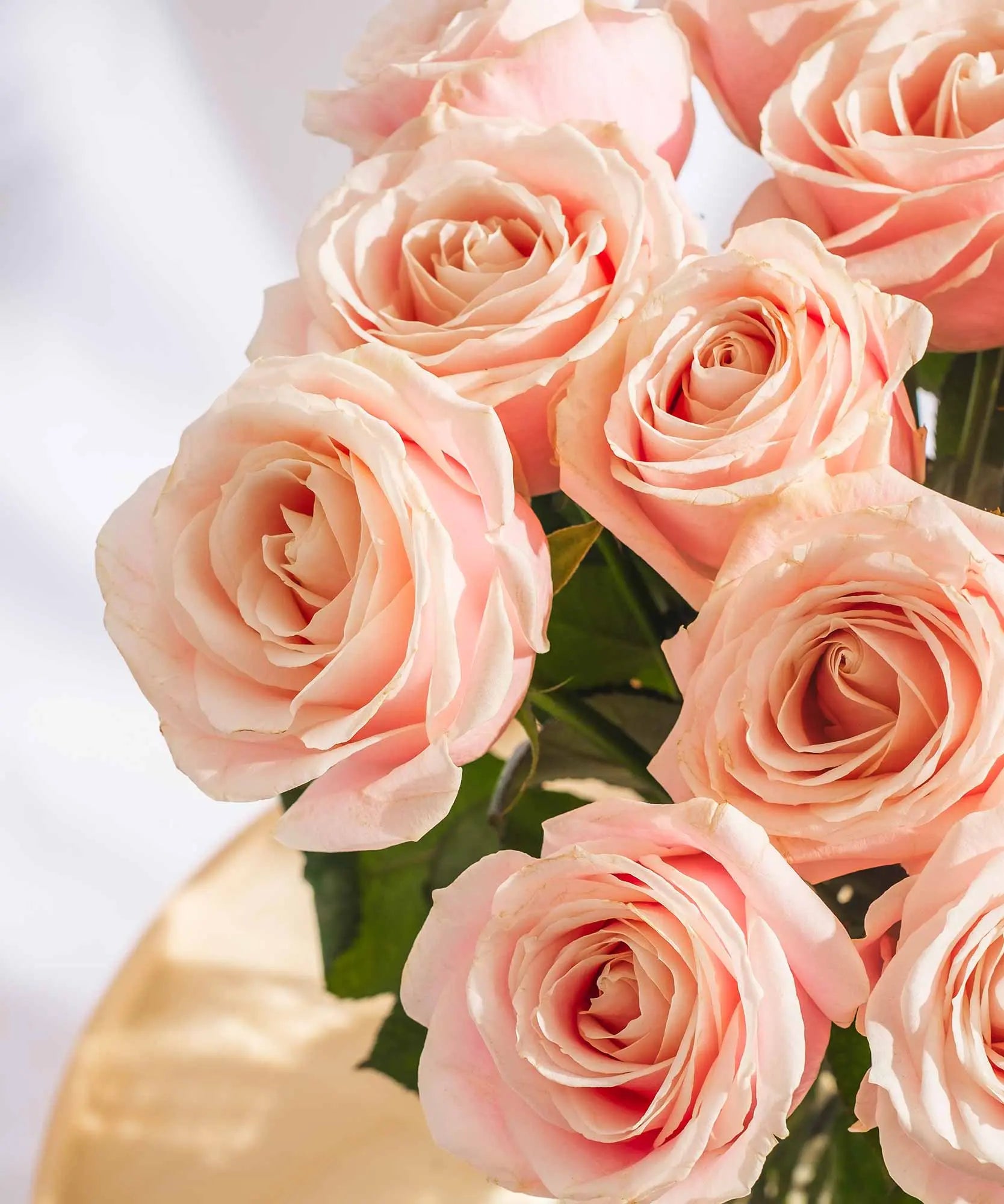 Order beautiful Guernsey Roses online for UK & London Delivery