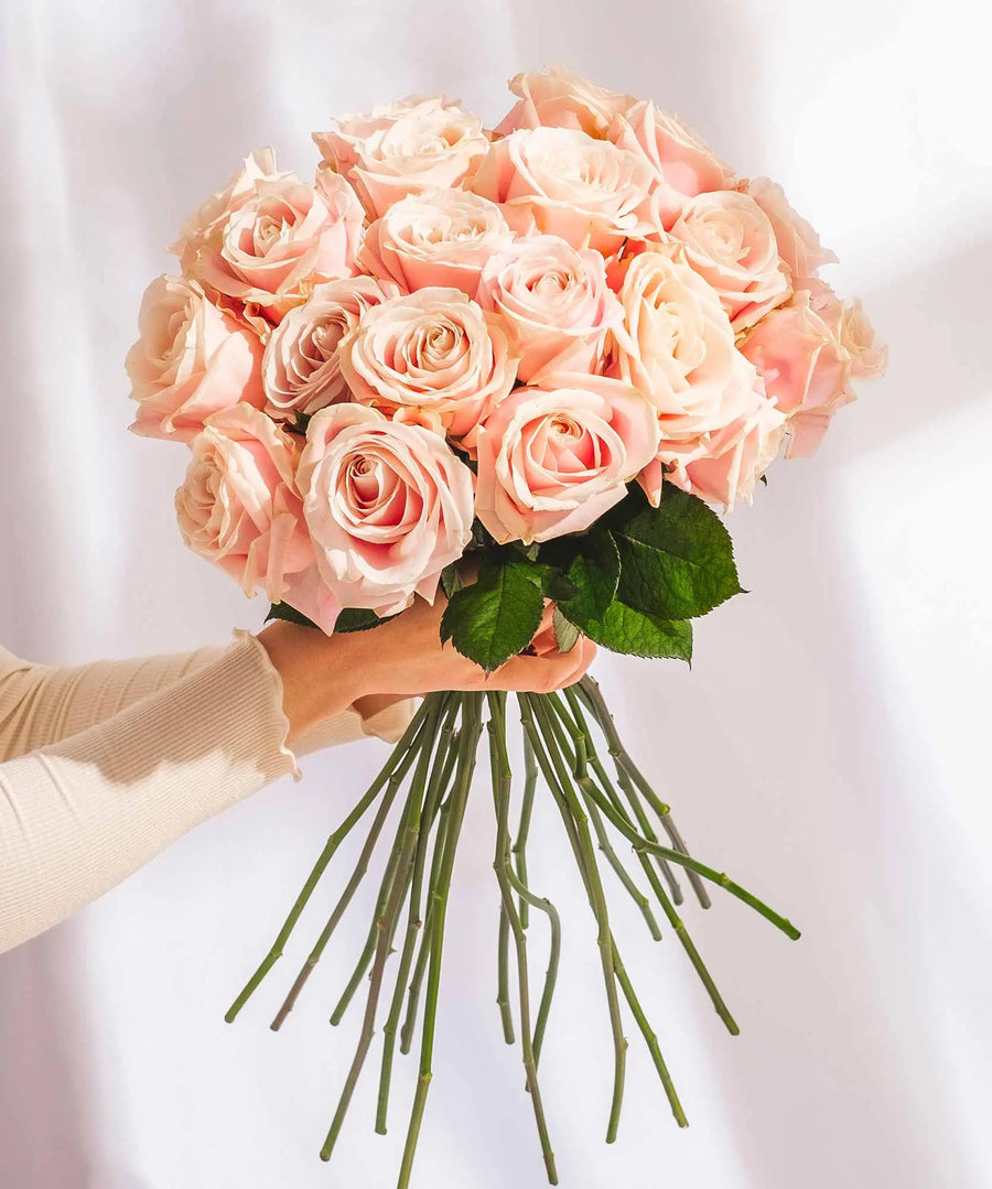 Soft Pink Roses - Guernsey Flowers by Post
