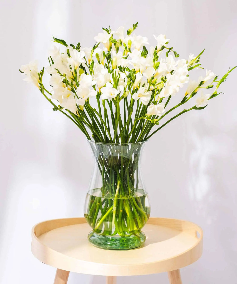 White Guernsey Long Stem Freesia Flowers - Guernsey Flowers by Post