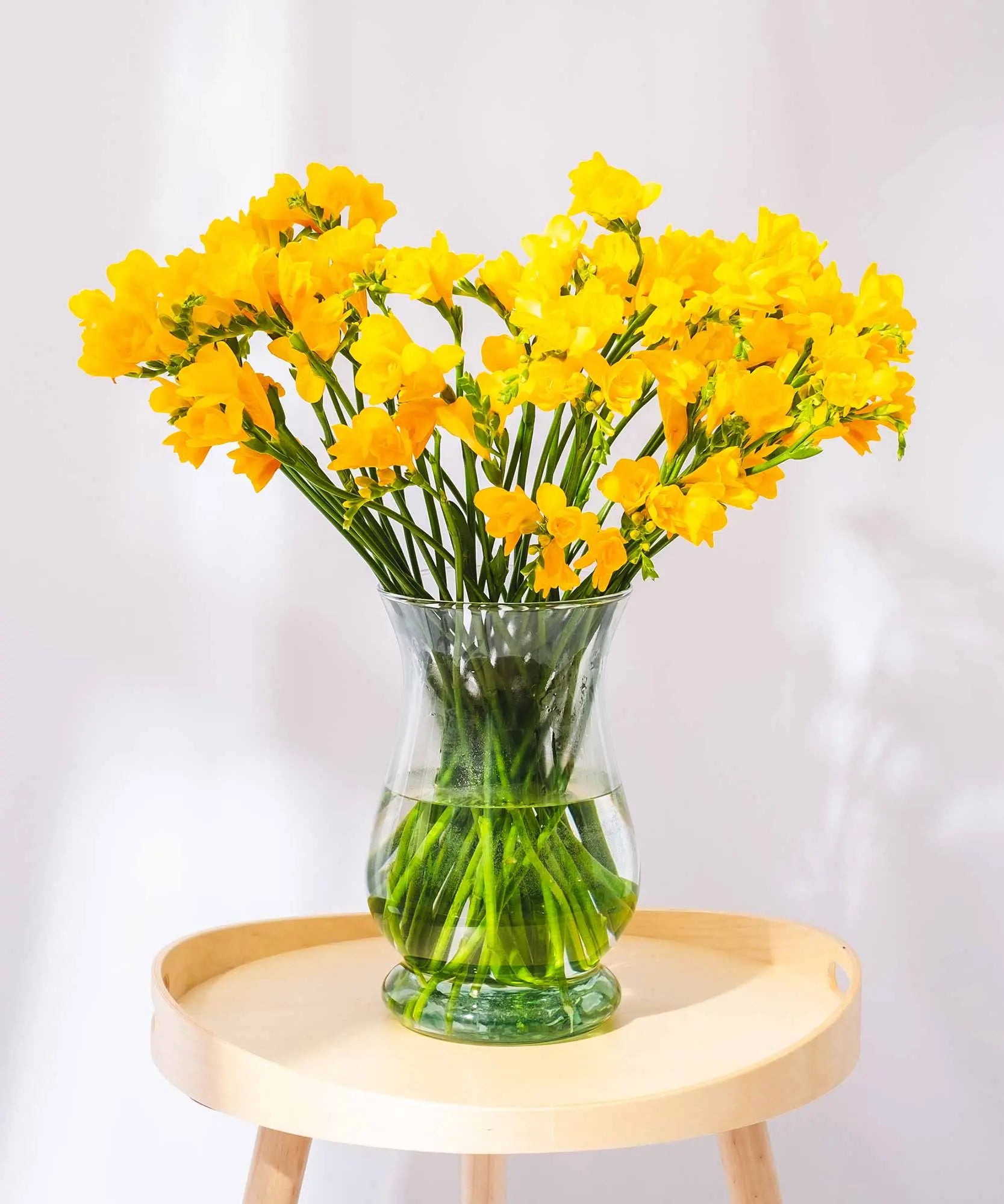 Yellow Long Stem Freesias by Post to London, UK, Channel Islands