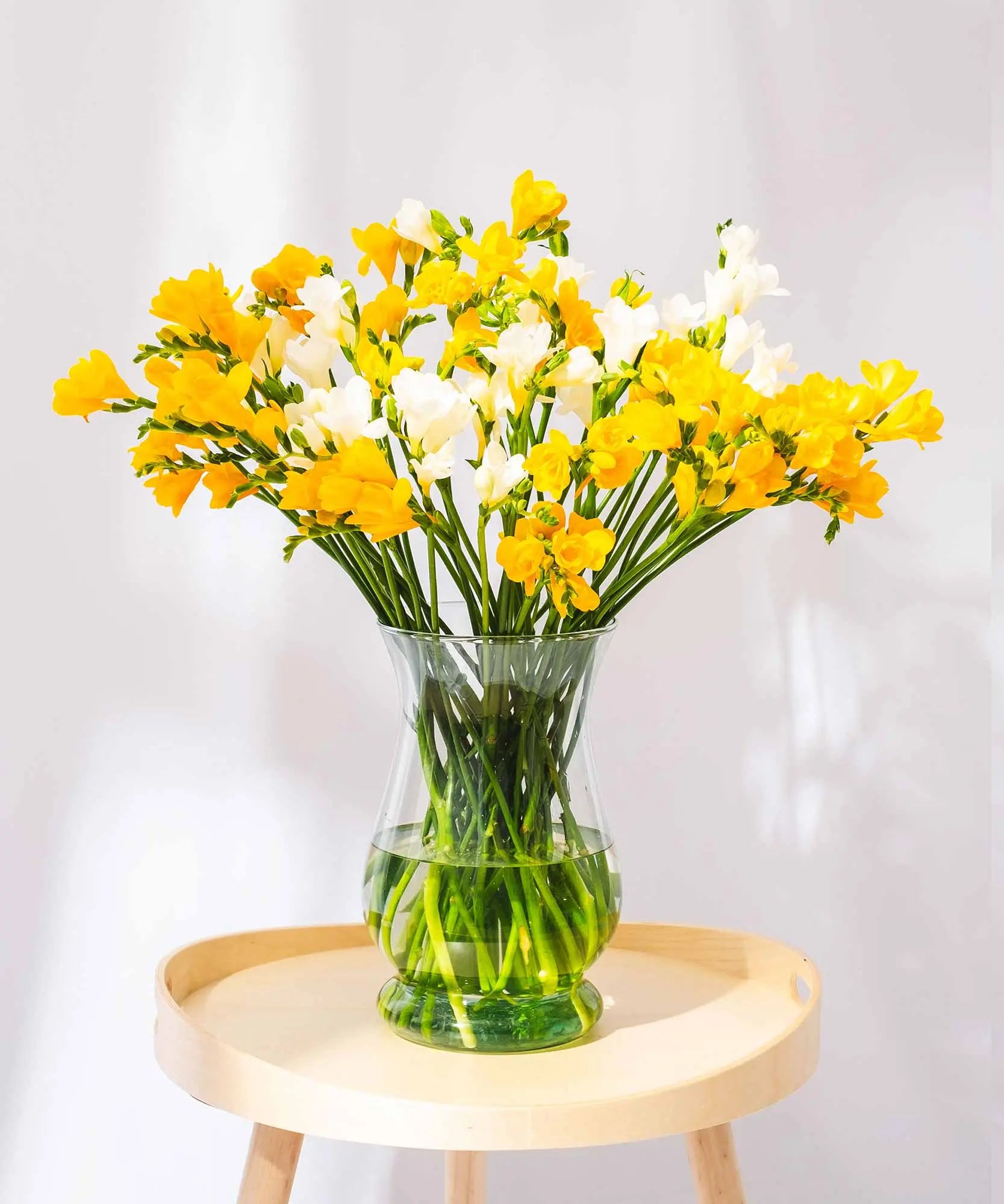 Yellow & White Long Stem Freesias by Post to London, UK, Channel