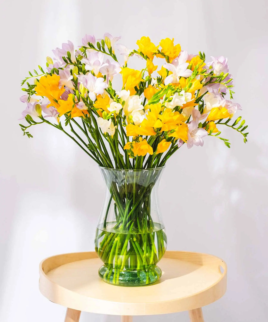 Yellow, Lilac & White Guernsey Long Stem Freesia Flowers - Guernsey Flowers by Post