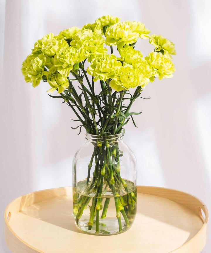 Green Carnation Flowers - Guernsey Flowers by Post
