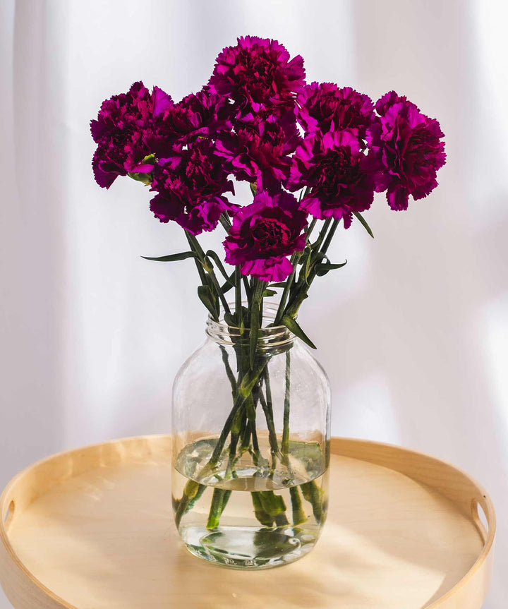 Dark Magenta Carnation Flowers - Guernsey Flowers by Post