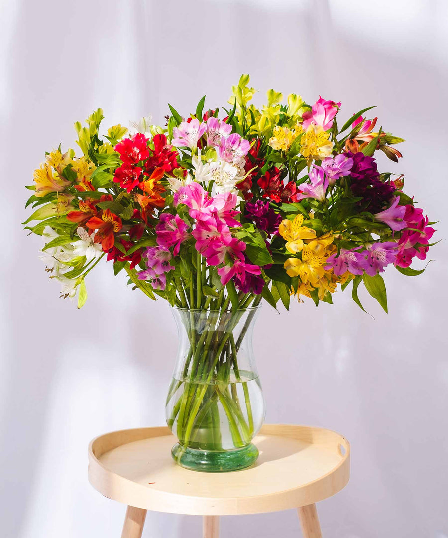 Ongoing Mixed Guernsey Alstroemeria Flower Subscription - Guernsey Flowers by Post