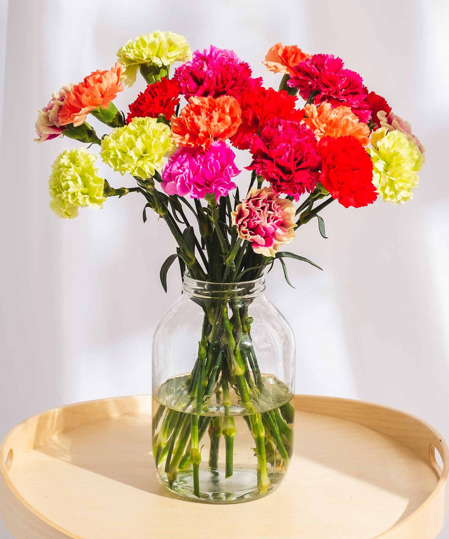 Mixed Carnation Flowers - Guernsey Flowers by Post
