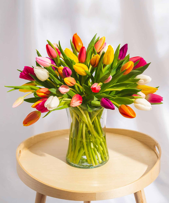 Mixed Tulip Flowers - Guernsey Flowers by Post