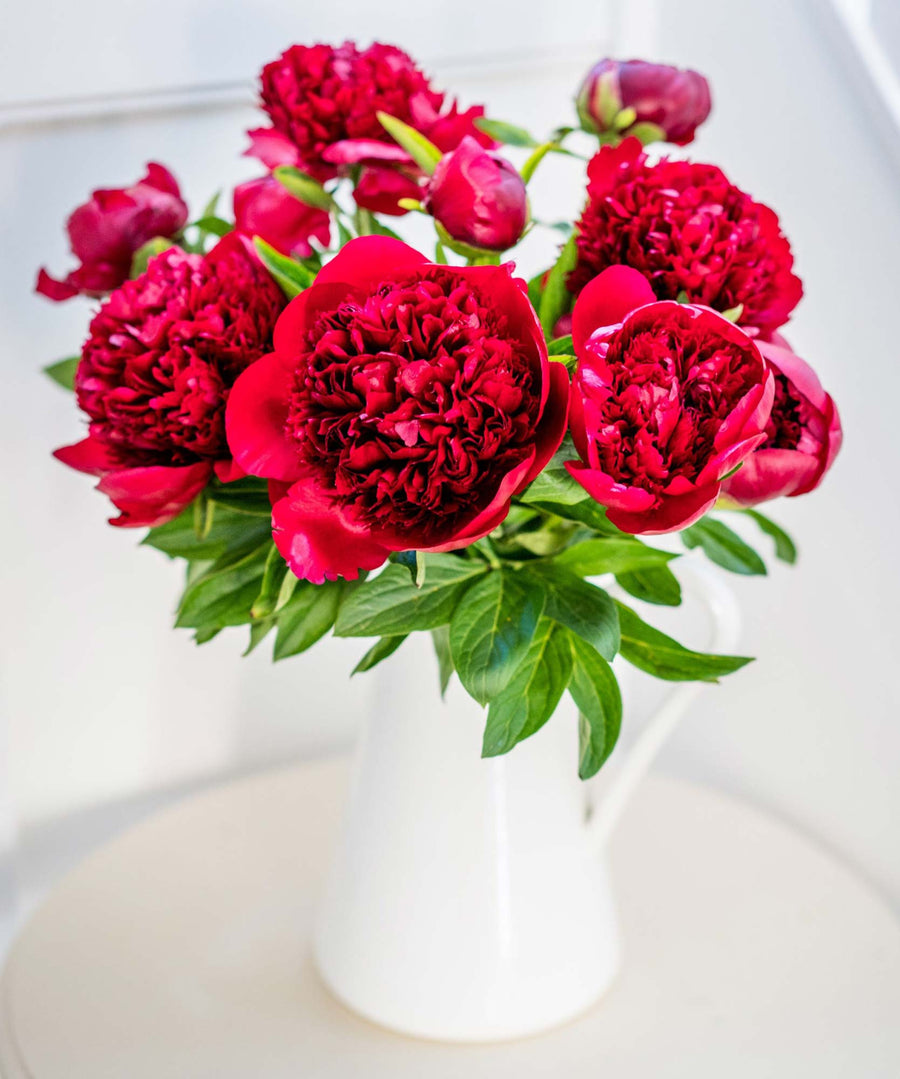 Red Peonies Flower - Guernsey Flowers by Post