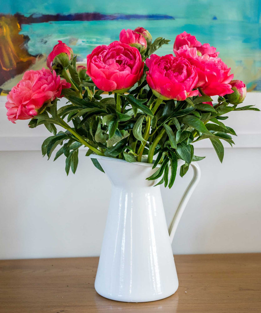 Coral Peonies Flower - Guernsey Flowers by Post