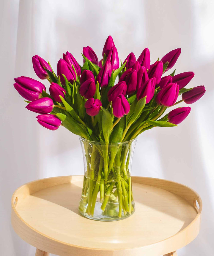 Purple Tulip Flowers - Guernsey Flowers by Post
