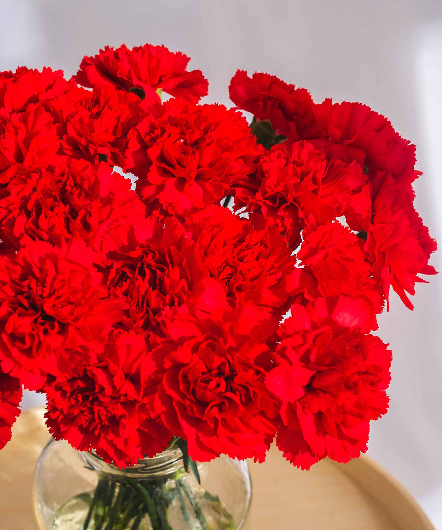 Red Carnation Flowers - Guernsey Flowers by Post