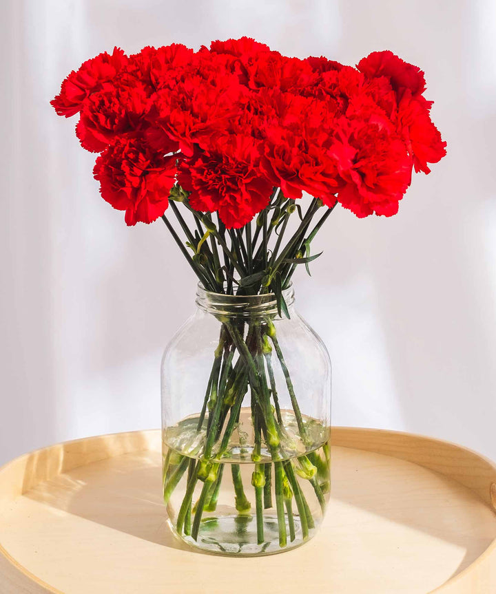 Red Carnation Flowers - Guernsey Flowers by Post