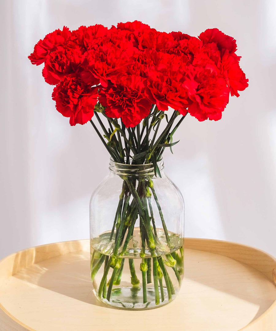 Red Carnation Flowers - Guernsey Flowers by Post