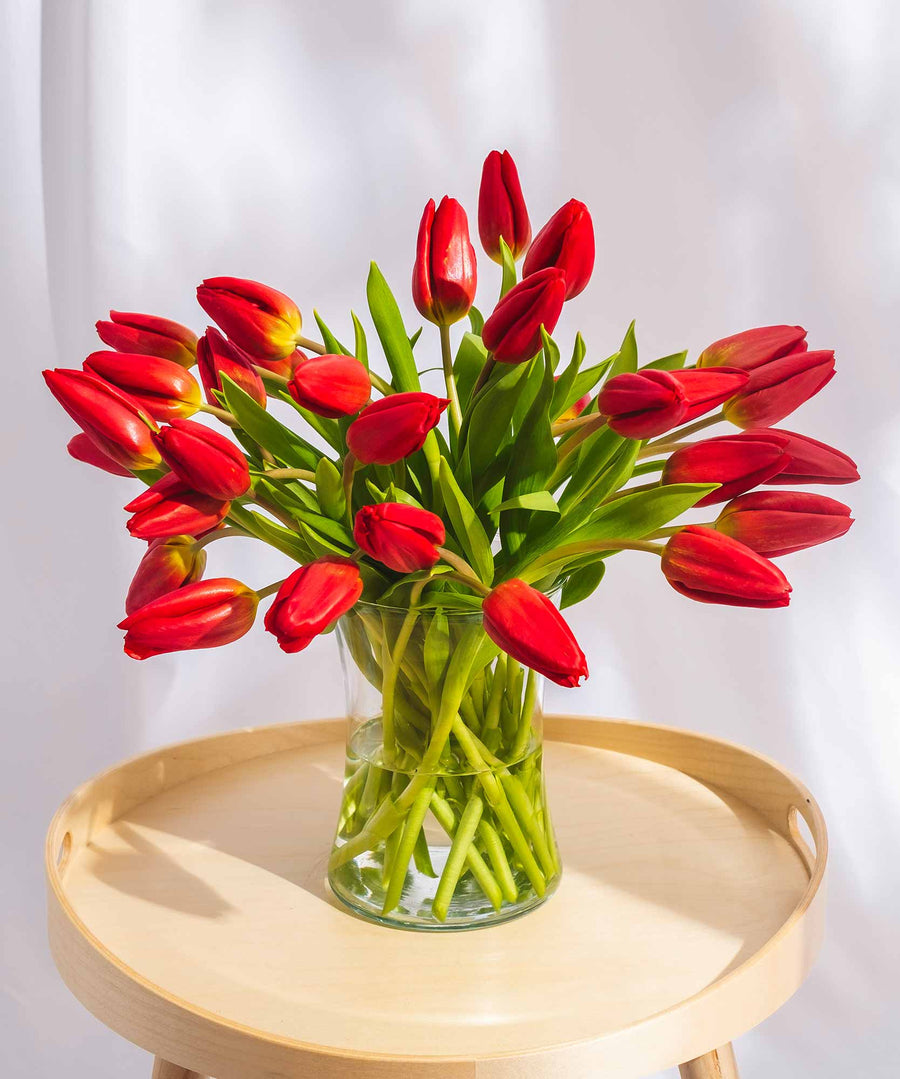Red Tulip Flowers - Guernsey Flowers by Post