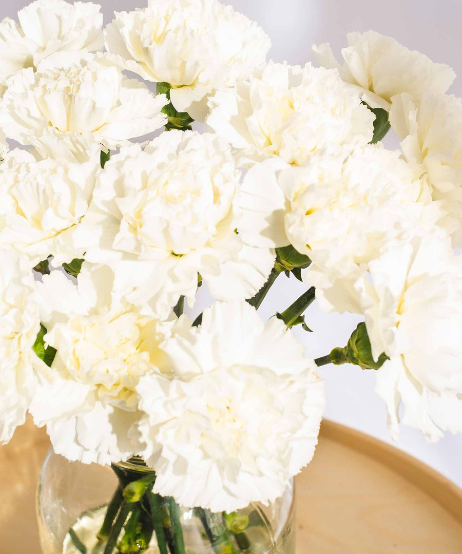 White Carnation Flowers - Guernsey Flowers by Post
