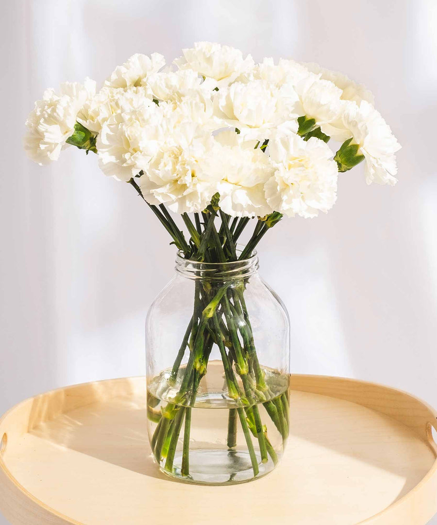 White Carnation Flowers - Guernsey Flowers by Post