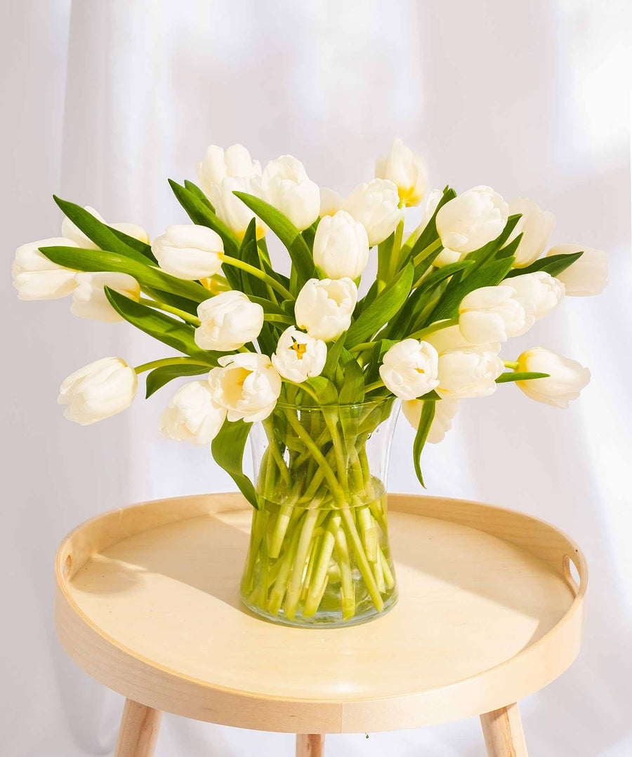 White Tulip Flowers - Guernsey Flowers by Post